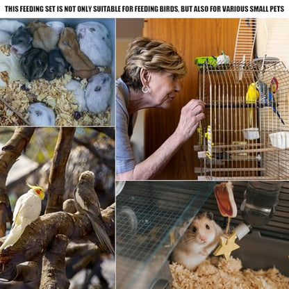 Baby Bird Feeding Syringe Set, Small Pet Parrot Feeding Tubes for Birds, Hand Feeding Tubes Kit Parrot Feeder Food Feeding & Watering Supplies for Small Pet Baby Birds (20ML+50ML) - color: 20ML+50ML