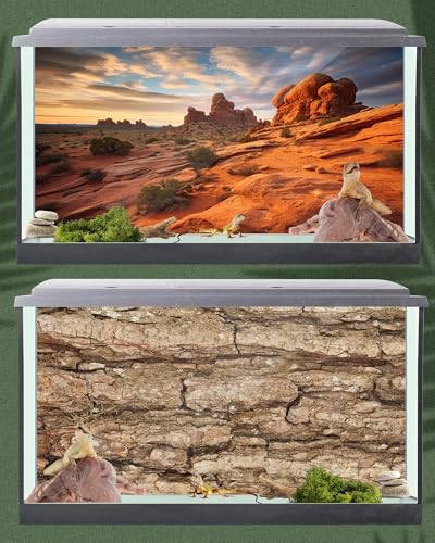 Breling 4 Pcs 48 x 24'' Reptile Tank Background 55/75/90/120 Gallon Bearded Dragon Terrarium Background Decor Polyester Reptile Tank Accessories for Leopard Gecko, Crested Gecko, Tortoises - size: 48 x 24 Inch
