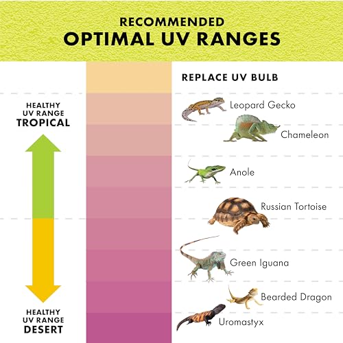 Zilla Rapid Sense UV Detecting Pet Reptile Terrarium Décor, Detects UVB Levels, Crocodile Skull, Large - size: Large