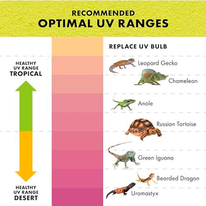 Zilla Rapid Sense UV Detecting Pet Reptile Terrarium Décor, Detects UVB Levels, Crocodile Skull, Large - size: Large