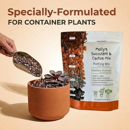 Molly's Succulent Mix - Premium Gritty Soilless Potting Mix for Succulents, Cactus and Bonsai - Contains Akadama, Hyuga, Bark Fines, Pumice, Lava Rock, Mycorrhizae 3 Dry Quarts - size: 3 Dry Quarts, style: Succulents & Cacti
