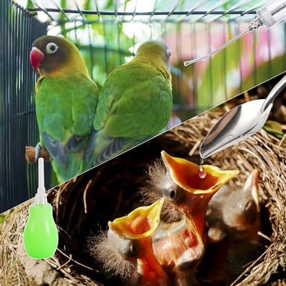 20ML Baby Bird Feeding Syringe Set Pet Syringe with 6 Pcs Curved Gavage Feeding Tubes and Bird Drinker Stainless Steel Metal Feeding Spoon for Baby Birds Parrot Small Pet - size: 20ML