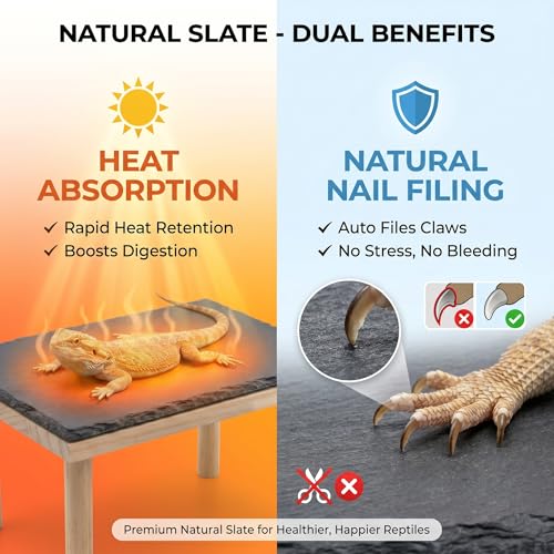 Bearded Dragon Basking Platform, Natural Slate Reptile Basking Rock with Wooden Climbing Ramp, Terrarium Habitat Decor for Lizard, Leopard Gecko, Tortoise, Snake (Large) - size: Large
