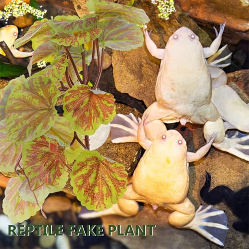 Beavorty Artificial Hanging Reptile Plant for Terrarium Habitat Decor with Suction Cup, 23 Green Begonia Leaves, Lifelike Fake Plants for Reptile Tanks and Amphibian Enclosures