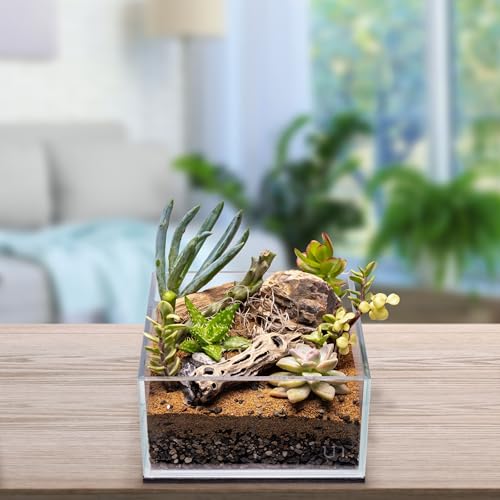 SubstrateSource Natural Cholla Wood - Driftwood for Aquariums, Air Plant Base, Hermit Crab and Freshwater Shrimp Hideout, Fish Tank Decoration, Chinchilla Chews, Reptile Habitat Wood - 4 Inch, 3pc - size: 4 Inch (Pack of 3)