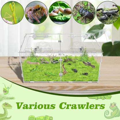 Acrylic Jumping Spider Enclosure with Double Compartments, Large Size,15.7 * 7.8 * 7.8 inches, Reptile Terrarium Aquarium Breeding Tank for Reptiles Spiders Snake Lizard - color: transparent
