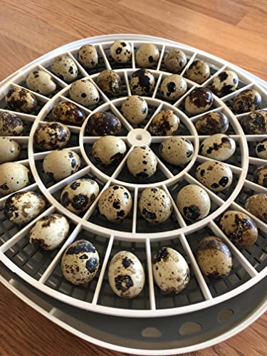 Generic 3D Printed Quail Egg Turner for Nurture Right 360 Incubator