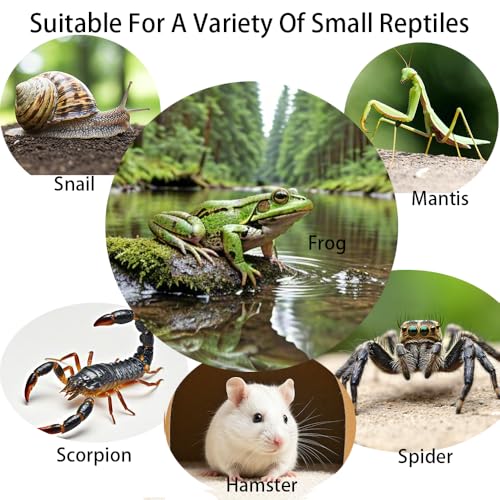 Acrylic Jumping Spider Enclosure,Reptile Enclosure,Bug Habitat, for Small Tree Dwelling Reptiles,Arboreal Tarantula Enclosure, Spider Terrarium Kit,Plastic Terrarium(4.7" X 4.7" X 8") - color: A3