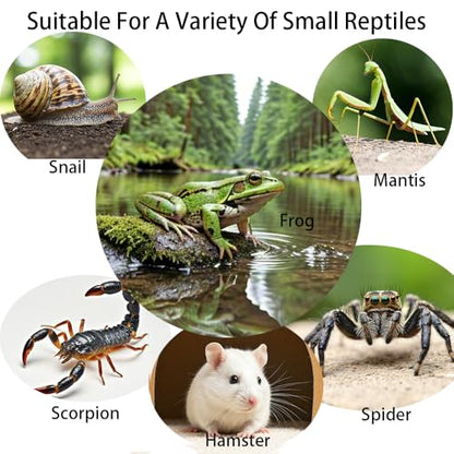 Acrylic Jumping Spider Enclosure,Reptile Enclosure,Bug Habitat, for Small Tree Dwelling Reptiles,Arboreal Tarantula Enclosure, Spider Terrarium Kit,Plastic Terrarium(4.7" X 4.7" X 8") - color: A3