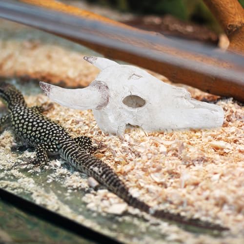 Reptile Skull Hideout Terrarium Decor Cattle Bone Resin 20.5X17X9Cm Desert Habitat Cave for Bearded Dragon Snake Turtle Tank