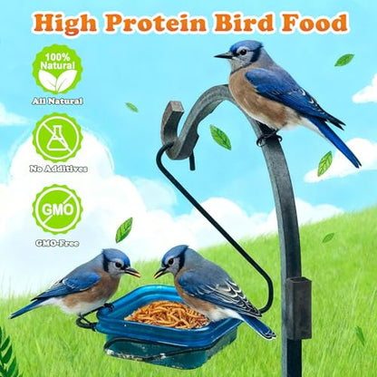 Amzey Dried Mealworms 11 LBS - 100% Natural for Chicken Feed, Bird Food, Fish Food, Turtle Food, Duck Food, Reptile Food, Non-GMO, No Preservatives, High Protein and Nutrition - size: 11 Pound (Pack of 1)