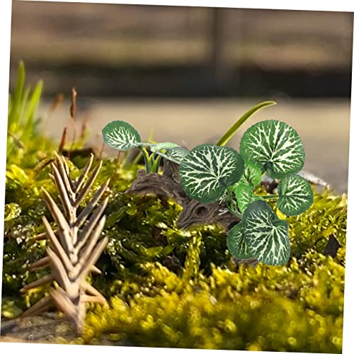 Toddmomy Realistic Artificial Reptile Plant for Tank Sphagnum Moss Decor Fish Tank Landscape