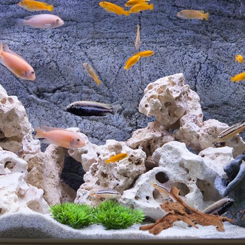 POPETPOP Natural Dead Wood Aquarium Decor Fish Tank Dead Wood Craft with Stable Wide Base 9.84 X 5.90 X 4.72 in Driftwood Ornament for Aquarium Reptile Tank Home and Study