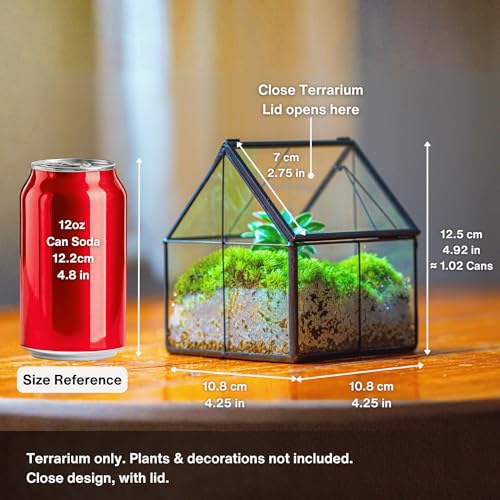 NCYP Mini Glass Terrarium with Lid - 4.25" x 4.25" x 4.92" House Shape Close Geometric Planter Pot for Mini Succulents Plant, Moss - Handmade, Home Garden Office Decor, Black (Terrarium Only) - size: 4.25x4.25x4.92 inches