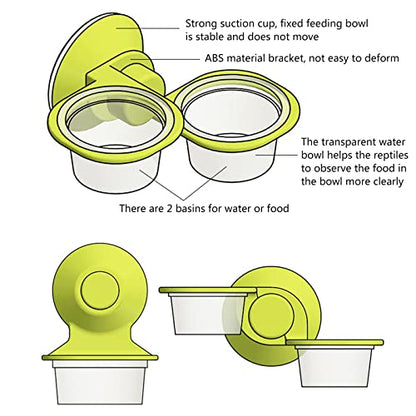 Suction Cup for Frog Feeder Feeding Food Water Bowl Escape Proof Dish Feeder Bowl