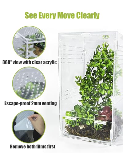 Jumping Spider Enclosure 6”x6”x10”, Transparent Arboreal Tarantula Habitat, Praying Mantis Terrarium Critter Cage for Jumping Spider, Tarantula, Mantis, Snail, Isopods, Beetles, Millipedes - size: Large