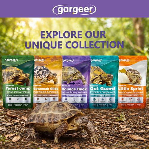 Gargeer Bounce Back Tortoise Immune & Recovery Support Powder Supplement 3oz, Electrolytes, Vitamin C & Immune Support for Sulcata, Red Foot & All Tortoise Species. Made in the USA. Enjoy!