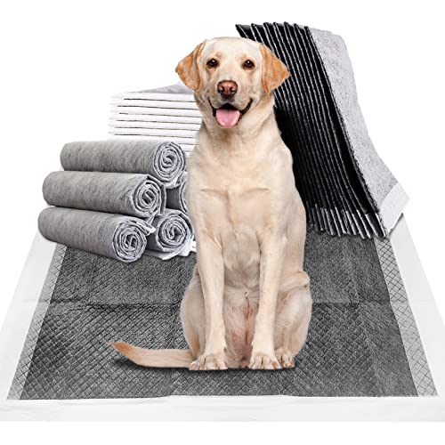Fhiny Pee Pads for Dogs, 24" x 36" 20 PCS Extra Large Disposable Puppy Pads Leak-Proof Super Absorbent Charcoal Potty Training Pad with Quick-Dry Surface for Dogs Puppies Cats Kittens or Small Pets - color: Gray, size: Extra Large-24'' x 36''-20 PCS