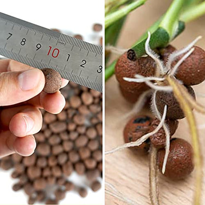 Leca Expanded Clay Pebbles 10LBS Grow Media for Indoor Plants Hydroponic Growing Gardening System Supplies … - size: 10LBS