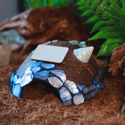Reptile Hideouts, Handmade Handmade Reptile Home, Hide Cave for Crested Gecko, Leopard Gecko, Lizard, Snake, Crabs Hide Cave, Personalized Terrarium & Vivarium Décor(Conch) - style: Conch