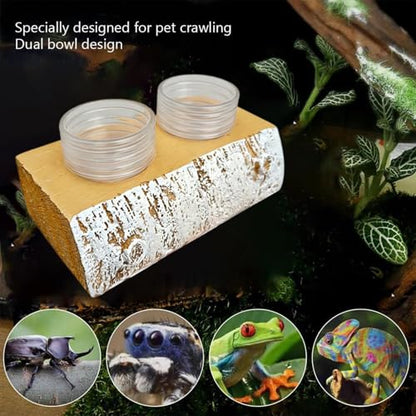 Magnetic Reptile Ledge – Resin PP Magnet 14.5x7.5x4.5cm | Removable Gecko Food and Water Dish 4.3x2.5cm | Lizard Feeding Accessory for Pets Crabs Turtle Spider Bearded Dragon Frogs