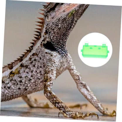 Pet Reptile Feeder Suction Cup Gecko Food and Water Bowl Escapeproof and Easy to Basin - color: Light Green, size: 13.50X6.50X3.50CM