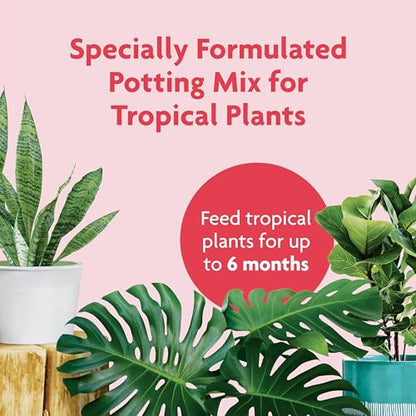 Miracle-Gro Tropical Potting Mix, For Container Plants, Use with Snake Plants, Spider Plants, Pothos, Monstera, 6 qt., 3-Pack - size: 3 Pack, style: Potting Mix