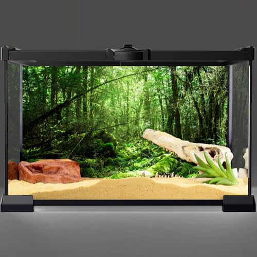 AWERT 48x18 inches Tropical Terrarium Background Rainforest Aquarium Background Green Tree Reptile Habitat Background Vinyl - size: 48x18in/120x45cm