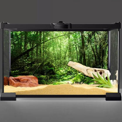AWERT 24x16 inches Tropical Terrarium Background Rainforest Aquarium Background Green Tree Reptile Habitat Background Vinyl - size: 24x16in/60x40cm