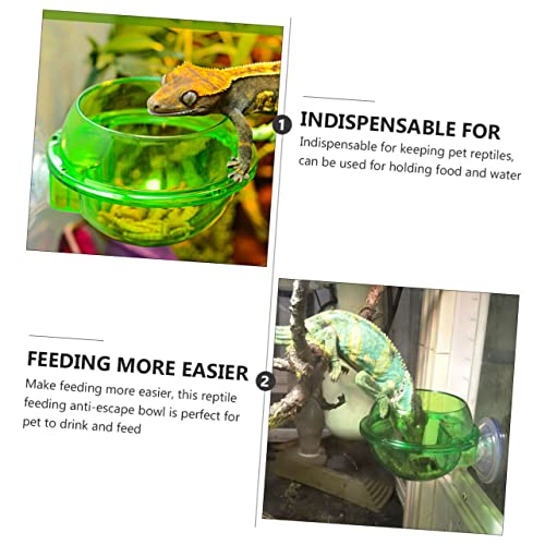HEMOTON 4Pcs Lizard Feeder Bowl with Suction Cup Escape Design for Reptiles Easy to Stable Pet Dish for Food and Water for Bearded Dragons Geckos Frogs