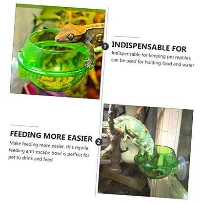 HEMOTON 4Pcs Lizard Feeder Bowl with Suction Cup Escape Design for Reptiles Easy to Stable Pet Dish for Food and Water for Bearded Dragons Geckos Frogs