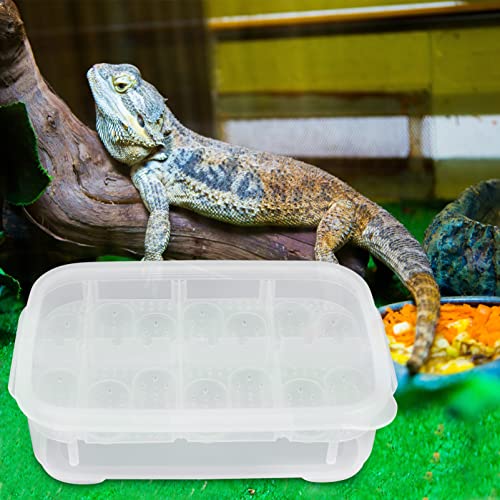 HANABASS Clear Container Clear Container 14 Compartments Eggs Incubation Tray Reptile Hatchery Breeding Box Mini Turtle Incubator Compartments Eggs Incubation Tray Tool White Reptisoil