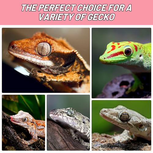 Crested Gecko Food, Fruit Mix Watermelon and Insects Complete Diet Gecko Food 2oz