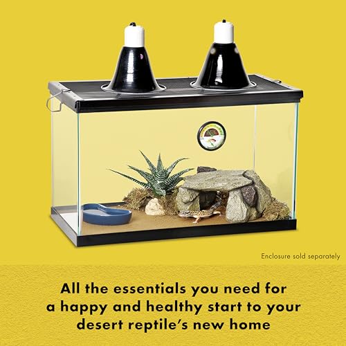 Zilla Desert Habitat Accessory Kit, Starter Kit for Reptiles, Easy Start for Desert-Dwelling Reptiles, Includes Lighting, Bedding and Food, Ideal for Size 10G Terrariums - size: Desert Accessory Kit, style: Desert Habitat