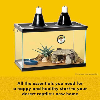 Zilla Desert Habitat Accessory Kit, Starter Kit for Reptiles, Easy Start for Desert-Dwelling Reptiles, Includes Lighting, Bedding and Food, Ideal for Size 10G Terrariums - size: Desert Accessory Kit, style: Desert Habitat