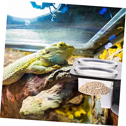 BESPORTBLE 1set Hanging Reptile Food Dishes Suction Cups Dual Compartment Feeder for Tortoise Gecko and Lizard Bowls for Easy Feeding and Hydration