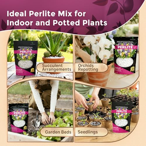 Professional Perlite for Plants 2.2 Quarts, Medium Grade Perlite Soil Additive for Indoor Outdoor Plants, Perlite for Gardening, Lightweight pH Neutral Soil Amendment, Made in USA - style: Perlite Soil Additive (2.2 Quarts)