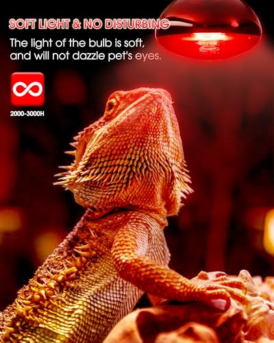 Flaspar 100W Reptile RED Heat Lamp Bulbs, Reptile & Amphibian Basking Spot Light Bulbs for Chickens Coop Pets Brooder Bearded Dragon Lizard Tortoise Use, Pack of 2 - color: Red