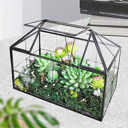 Ferrisland Glass Terrarium Greenhouse House Shape Display Box Planter for Succulents Plant Terrarium Container Mordern Tabletop Decor Gardern DIY Kit - size: 9.1"L x 7.3"H 5.4"W