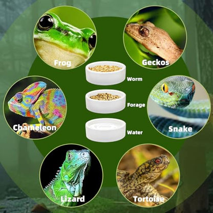 Escape-Proof Reptile Food Dish Bowl, Ceramics Small Animal Bowls for Lizard Frog Snake Turtle Gecko Hamster Food Bowl for Anti Living Foods Escape, Reptile Water Dish (L,3.93inches) - size: L,3.93inches