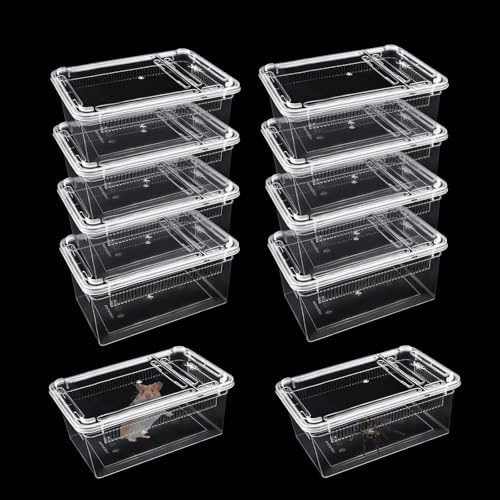 10 PCS Reptile Feeding Box, Isopod Enclosure Plastic Terrarium, Reptile Breeding Box for Bearded Gecko Dragon Lizard Spider Frog, Rreptile Carrier (Clear) (Clear, 7.5x4.9x3 in)