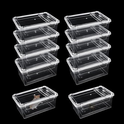 10 PCS Reptile Feeding Box, Isopod Enclosure Plastic Terrarium, Reptile Breeding Box for Bearded Gecko Dragon Lizard Spider Frog, Rreptile Carrier (Clear) (Clear, 7.5x4.9x3 in)