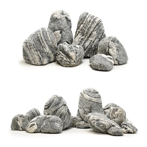 Aquarium Rocks Silver Seiryu Rock 5lb Natural Stone for Fish Tanks, Terrariums, Bonsai, Garden Decoration, Micro Landscapes & Reptile Terrariums(2-5inch 4-5Pcs) - size: 5lb (2-5inch)