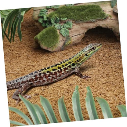 Natural Coconut Coir Reptile Carpet Mat Non-Toxic Terrarium Substrate Liner for Lizards Snakes Tortoises Washable and Reptile Supplies
