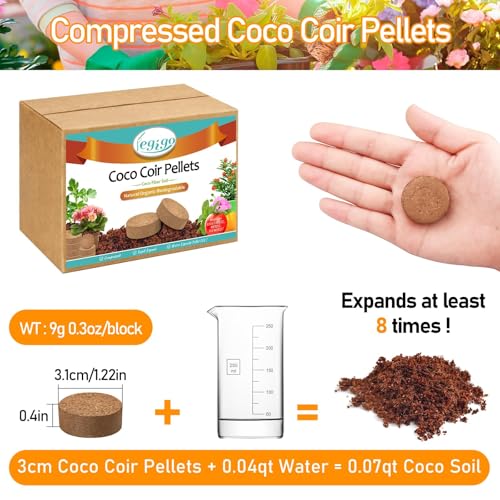 Legigo 50 PCS 30mm Coco Coir Pellets Potting Soil Mix- Compressed Coconut Coir Discs Seed Starting Soil Pellets, Coco Peat Soil Pods for Indoor & Outdoor Plants, Gardening Herbs Bonsai and Vegetables - color: 30mm