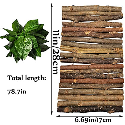 Hamiledyi 11.8 x 6.7 Inches Wooden Reptile Hideout Bearded Dragon Bendy Bridge Climbing Ladder Hiding Hut Reptiles Hide Cave Habitat Decor for Lizards Gecko Spiders Snakes Tortoise(Medium)