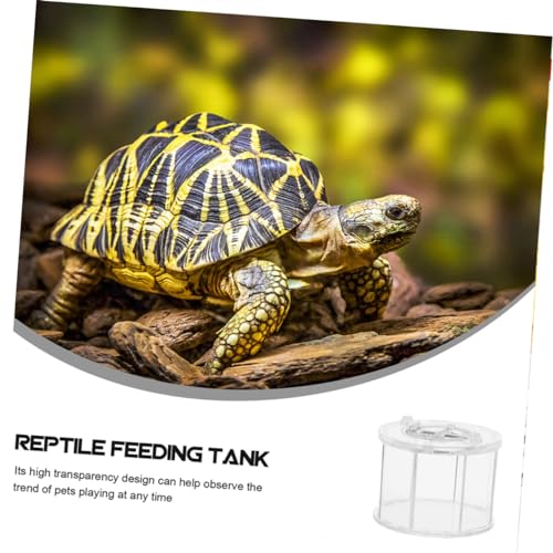BESPORTBLE 2pcs Pet Display Box for Reptile Observation Reptile Breeding Container Ventilation for Animals Like Snakes Frogs and Turtles