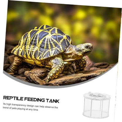 BESPORTBLE 2pcs Pet Display Box for Reptile Observation Reptile Breeding Container Ventilation for Animals Like Snakes Frogs and Turtles