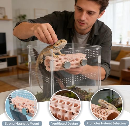 Jumping Spider Habitat - Magnetic Pet Hiding Shelter with Clear Climbing Walls, Secure Ventilated Design for Geckos, Frogs & Amphibians | Terrarium & Vivarium Decoration