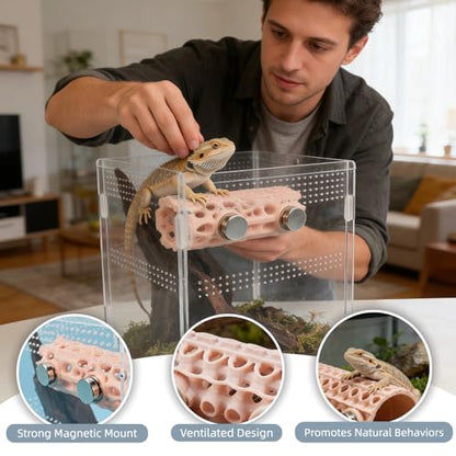 Jumping Spider Habitat - Magnetic Pet Hiding Shelter with Clear Climbing Walls, Secure Ventilated Design for Geckos, Frogs & Amphibians | Terrarium & Vivarium Decoration
